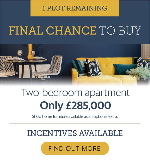Last Remaining Plot